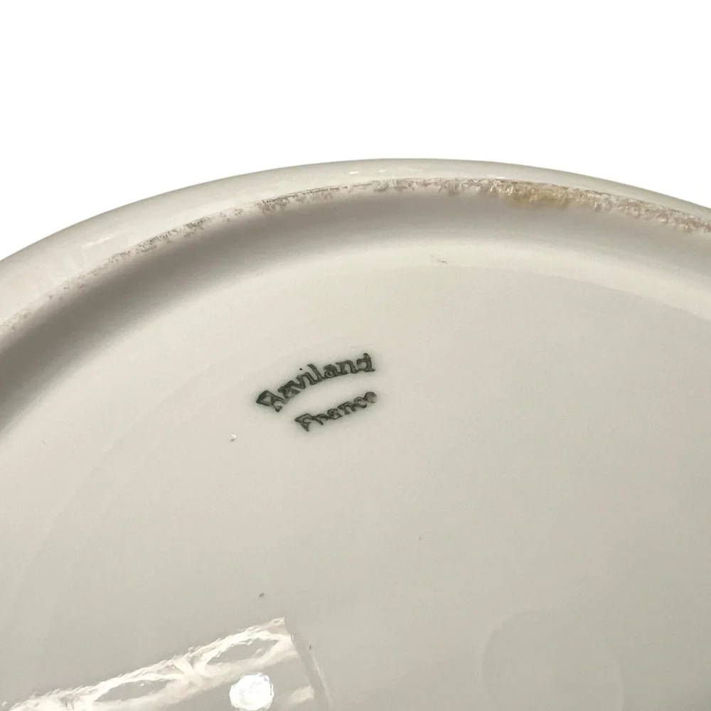 Haviland France Limoges Porcelain Decor Plates - Early 1900s